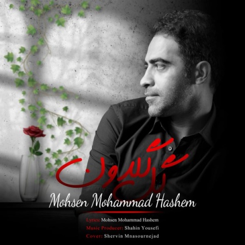 دانلود آهنگ گل گلدون محسن محمد هاشم