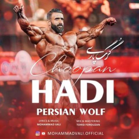 دانلود آهنگ گرگ پارسی محمد والی