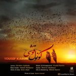دانلود آهنگ کونول قوشی یوسف کریمی