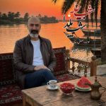 دانلود آهنگ شب چله شب یلدا (ورژن جدید) مصطفی دهقانی صبا